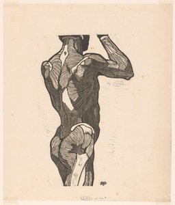 Anatomische Studie der Rücken- und Gesäßmuskeln eines Mannes von Reijer Stolk