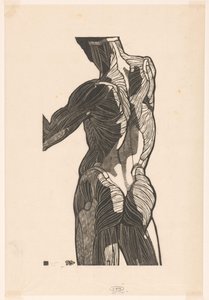 Anatomische Studie der Rücken- und Gesäßmuskeln eines Mannes
