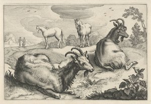 Landschaft mit zwei Ziegen und zwei Pferden