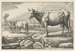 Weide mit Kühen von Reinier van Persijn