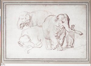 Drei Elefanten von Rembrandt Harmensz. van Rijn