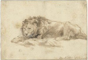 Liegender Löwe von Rembrandt van Rijn