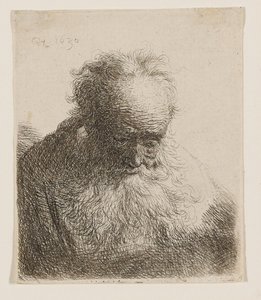 Alter Mann mit fließendem Bart (Kopf nach vorne geneigt, linke Schulter unbeschattet) von Rembrandt van Rijn