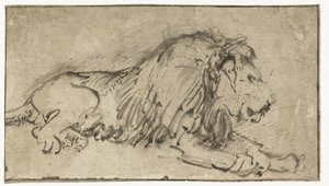 Liegender Löwe von Rembrandt van Rijn