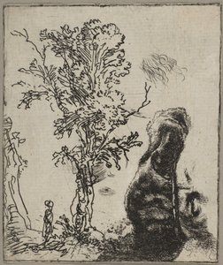 Blatt mit zwei Studien: Ein Baum und der obere Teil eines Kopfes von Rembrandt mit einem Vel..., ca. 1642