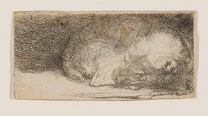  von Rembrandt van Rijn