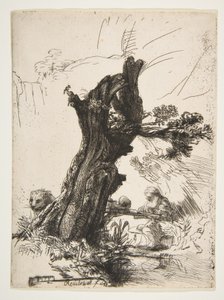 St. Hieronymus neben einer Kopfweide, 1648 von Rembrandt van Rijn