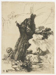 St. Hieronymus neben einer Kopfweide von Rembrandt van Rijn