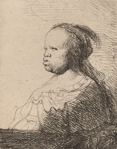 Das weiße Schwarz von Rembrandt van Rijn