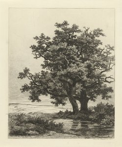 Zwei Eichen an einem Teich von Remigius Adrianus Haanen