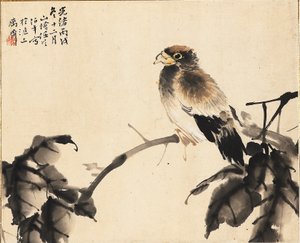Vogel auf einem Ast