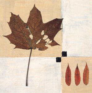 Herbstblätter Stillleben von Renate Holzner