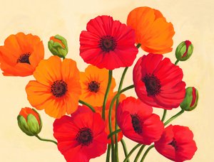Rot-orangefarbene Mohnblumen von Renate Holzner