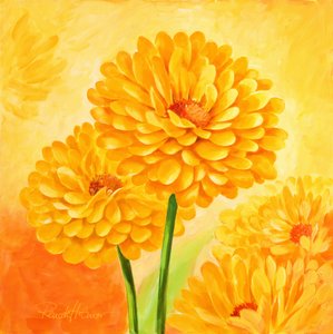 Lebhafte Gelbe Blüten von Renate Holzner