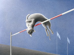 Sprung von Rene Boin