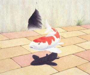 Koi von Rene Boin