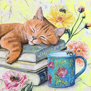 Schlafende Katze Zwischen Büchern von Renee Machan Cottagecore Artist