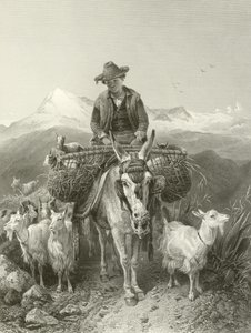 Der Ziegenhirte von Granada von Richard Ansdell
