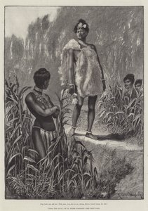 Nada die Lilie, von H. Rider Haggard