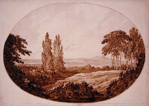 Landschaft, Bäume und felsige Hügel