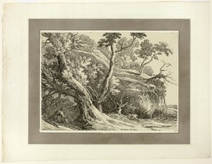 Landschaft mit großen Bäumen, aus der ersten Ausgabe von Specimens of Polyautography