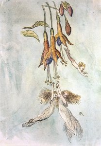 Fest unter den Fuchsien