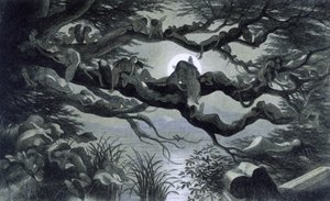 Feen, Nymphen und Elfen ruhen sich im Mondschein auf einem Ast aus? Illustration aus "In Fairy Land. A series of pictures from the elf-world" von Richard Doyle 1869-1870 von Richard Doyle