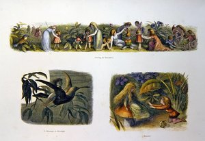 Im Feenland von Richard Doyle