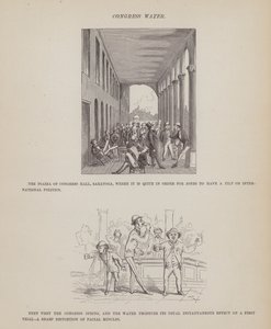 Seite aus Die amerikanische Tour von Herrn Brown, Jones und Robinson von Richard Doyle