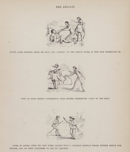 Seite aus Die amerikanische Tour von Herrn Brown, Jones und Robinson (Gravur)