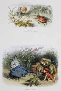 Einem Käfer 