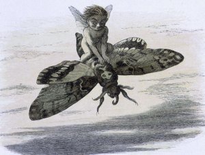 Ein Elf, der auf einem Schmetterling reitet. Illustration von Richard Doyle aus "In Fairy land. Eine Serie von Bildern aus der Elfenwelt" begleitet von einem Gedicht von W Allingham. 1869-1870. The British Library Institution Reference: Shelfmark ID: 1876  von Richard Doyle