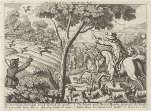 Jagd auf Rebhühner