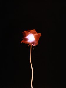 Ohne Titel, 2007