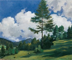 Motiv bei Toblach von Richard Harlfinger
