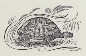Der Hase und die Schildkröte (Stich) von Richard Heighway