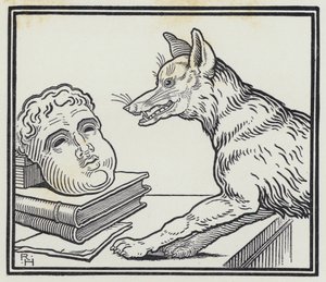Der Fuchs und die Maske von Richard Heighway