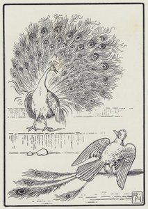 Der Eichelhäher und der Pfau von Richard Heighway