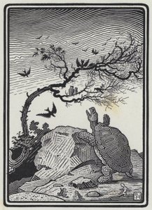 Die Schildkröte und die Vögel (Stich) von Richard Heighway