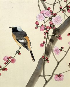 Vogel - Japanische Zeichnung von Riou Chim von Riu Chim
