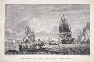 Die Nordwest- oder Davisstraße Walfischerei (Druck) von Robert (after) Dodd