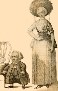 Wybrand Lolkes, der niederländische Zwerg, 1821
