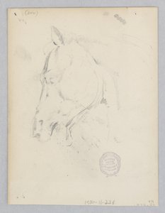 Pferd