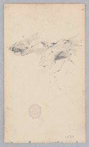 Tigermuster-Teppich von Robert Frederick Blum