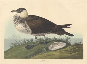 Jäger, 1835