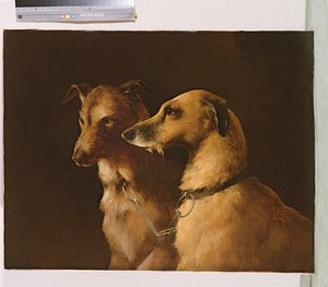 Hirschhunde