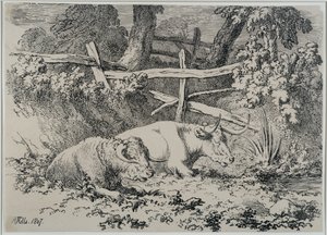 Ruhende Rinder, 1807