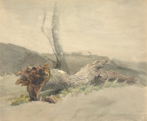 Der gefallene Baum von Robert Hills