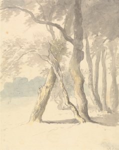 Waldstudie von Robert Hills