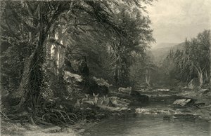 Die Adirondack-Wälder, 1874